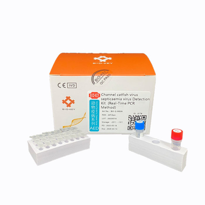 아쿠아틱 CCV 채널 메기 바이러스 RT PCR  검사 패혈증 바이러스  콩팥 조직 큐피크레 장비