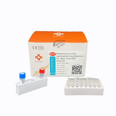 형광 발광 화합물 연쇄상 구균 시험 키트 Ct38 PCR 수중생물 배양 장비