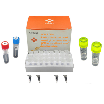 아프리카돈열 돼지 같은 시험 키트 ASFV 실시간 PCR 신속 시험 장비