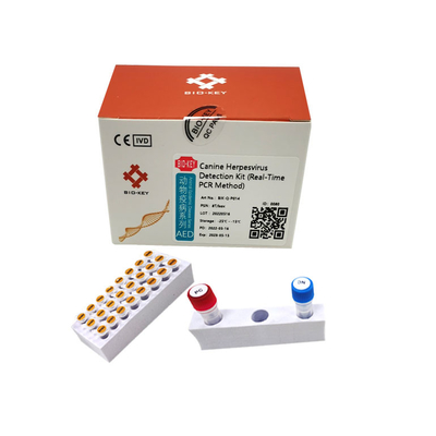 taq 중합 효소 송곳니 개 시험 키트 PCR 개 헤르페스 바이러스 검사 형광