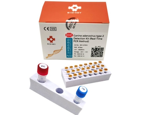 ISO13485개과 아데노바이러스 Pcr 테스트 종류 ii 타크 중합 효소 개 DNA 시험 장비