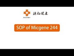 POCT 실시간 양적 PCR 기계 2 / 4 채널 24 잘 분자 진단 장치