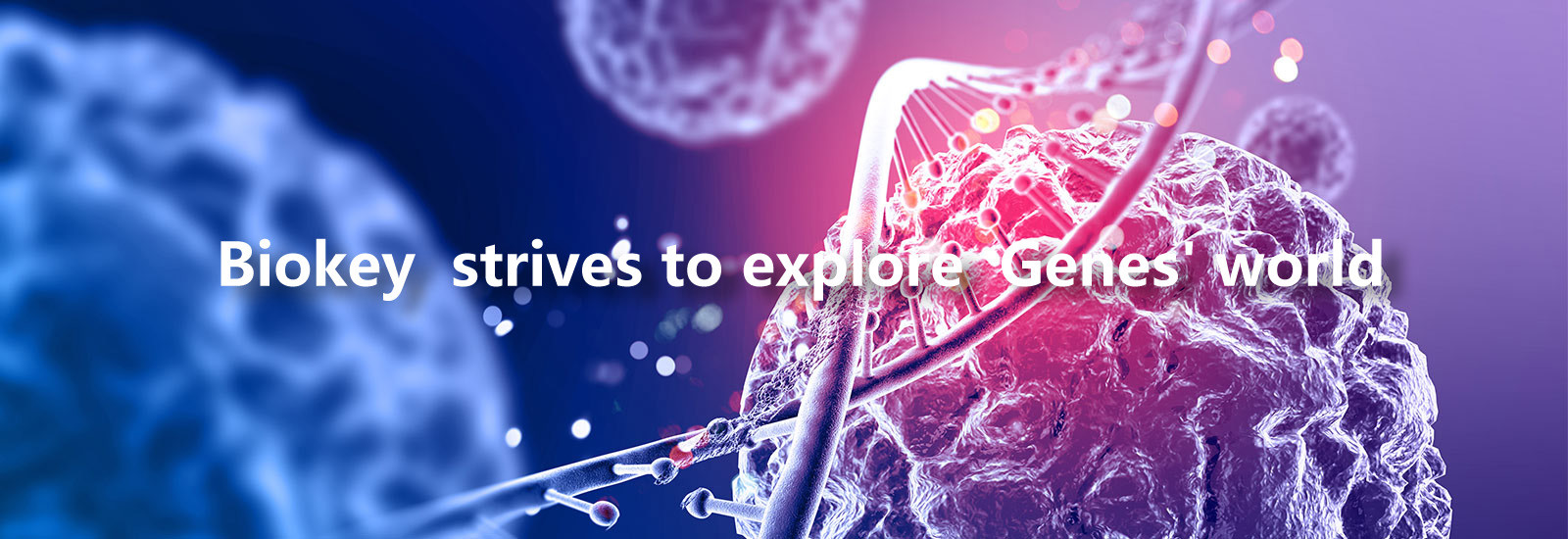 품질 RT 큐피크레 기계 공장