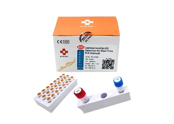 클리피 개과 개 시험 키트 dna 폴리머라제 렙토스피라 테스트 형광  PCR