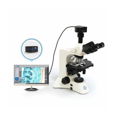 30° 기울기 세 눈 실린더 정면 현미경 B60