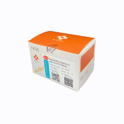 실시간 PCR 진단 키트