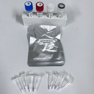 새우 조직 Vpa Vibrio Parahaemolyticus 실시간 PCR 검출 키트