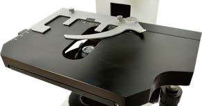 30° 기울기 세 눈 실린더 정면 현미경 B60