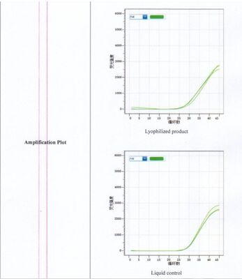 식품 안전 모니터링에서 살모넬라 검출을 위한 동결 건조 실시간 PCR 기술 기반 식품 안전 신속 진단 키트