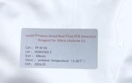 LyoDt® 동결건조 분말 실시간 PCR 비브리오 콜레라 O1 검출 시약 - 콜드체인 불필요 & 1회 사용량 사전 분주